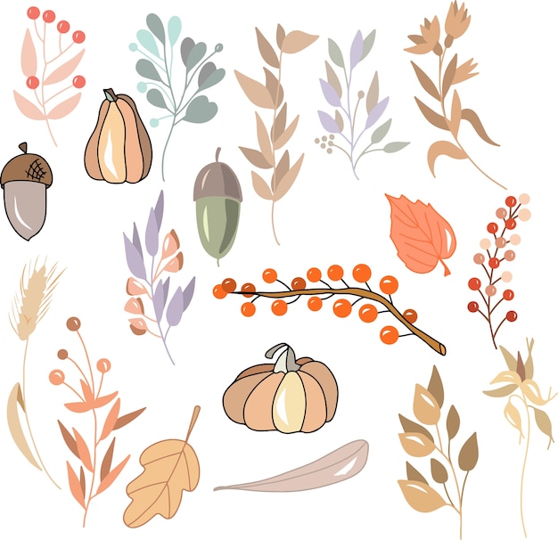 Vector set of autumn plants