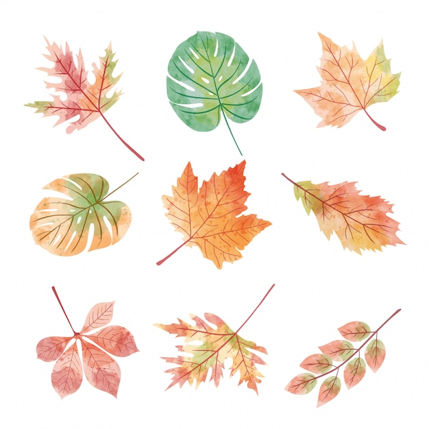 Set of autumn season leaves in watercolor 