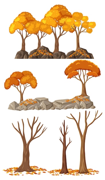 Set of autumn tree cartoon