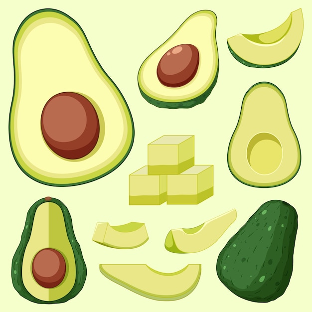 Set of avocado fruit cartoon