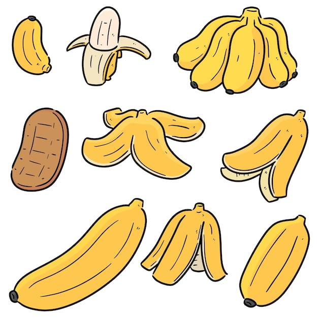 set of banana