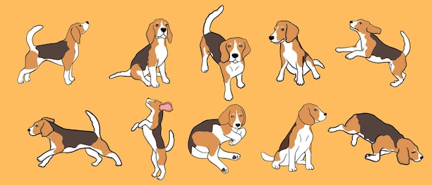 Set of beagle dog in different poses Small hunting dog with brownwhite coat and long ears Puppy with cute muzzle on yellow background