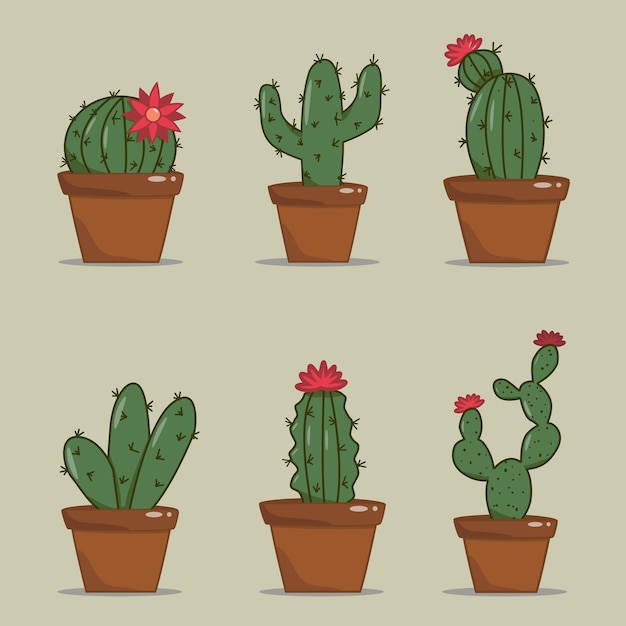 Set of beautiful cacti in flowerpots vector