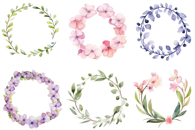 Set of Beautiful Flower and Leaf Wreaths