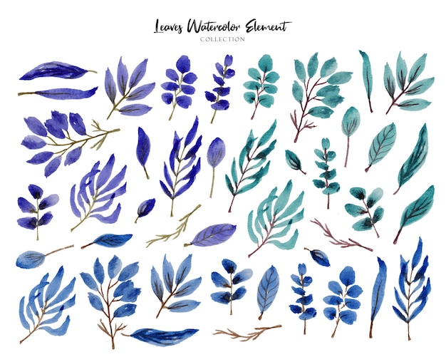 a set of beautiful hand painted violet green and blue leaves watercolor