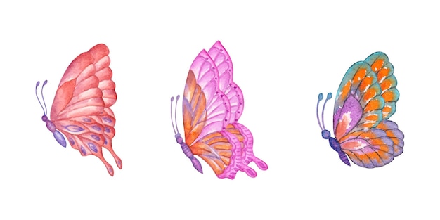 Set of beautiful lovely colorful spring butterflies in watercolor style