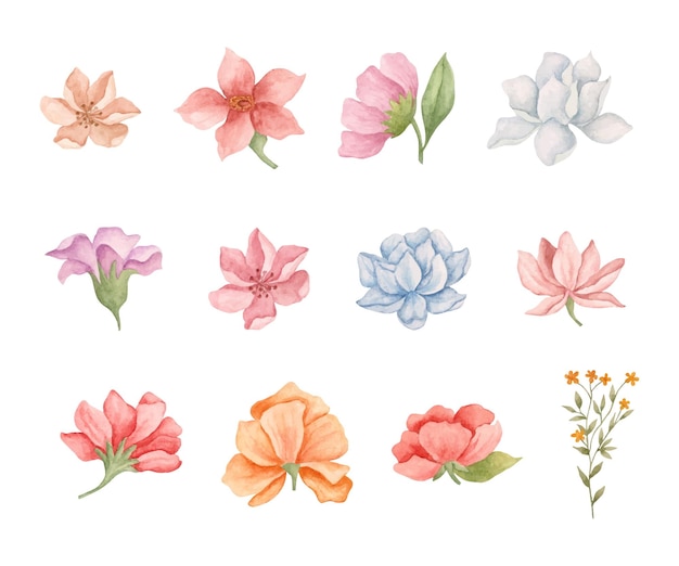 Set of beautiful lovely watercolor flower collection