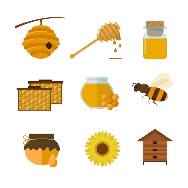 Set of bee honey lettering and other beekeeping illustration