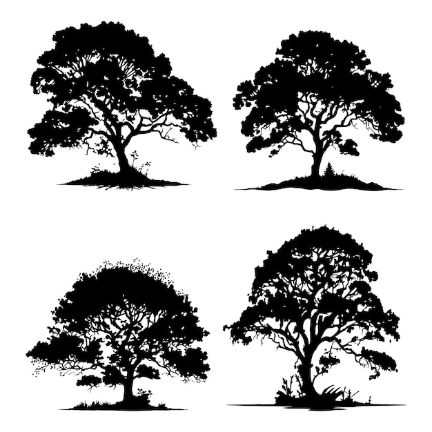 set of Big trees vector silhouettes Big tree silhouette black vector isolated on white background