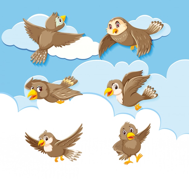 Set of bird character on sky background