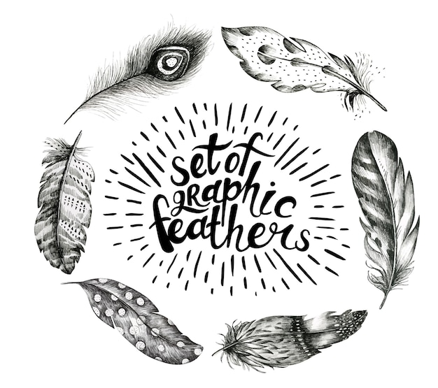 Set of bird feathers Hand drawn illustration converted to vector Outline with transparent background