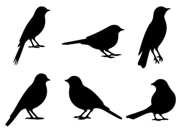 Set of bird silhouettes Black bird vector art