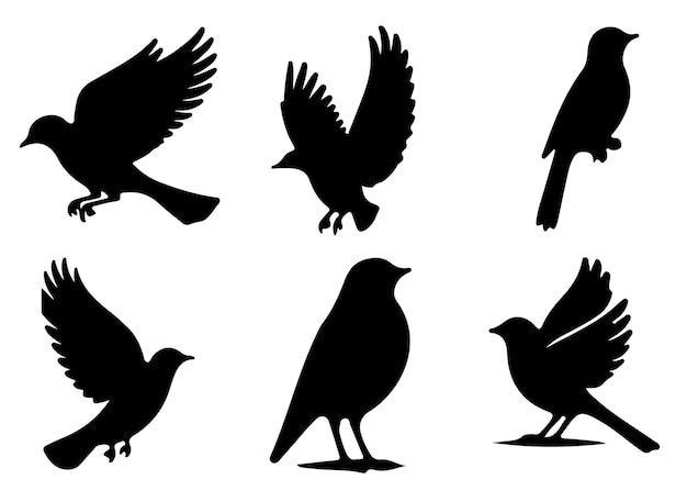 Set of bird silhouettes Black bird vector art