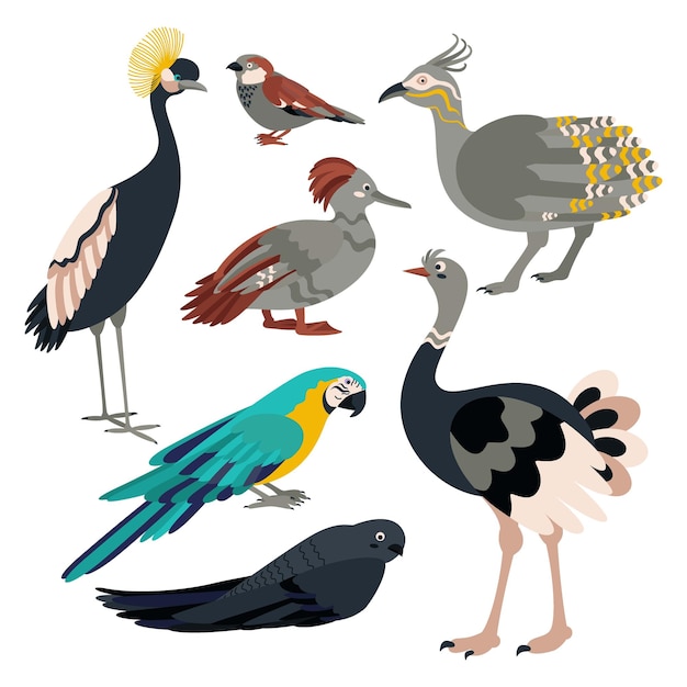 Set of birds crane sparrow tinamou duck parrot swift ostrich