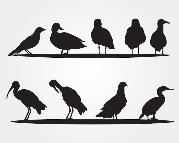 Set of birds silhouette