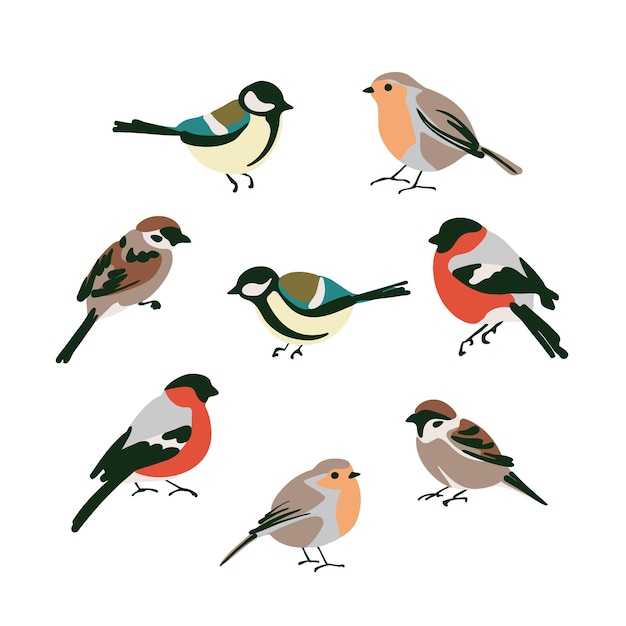 Set of birds tits bullfinches robins sparrows. Vector illustration