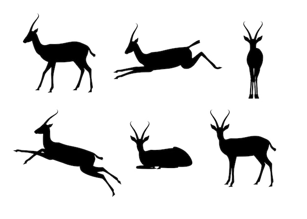 A set of black antelope silhouettes on a white background Different poses