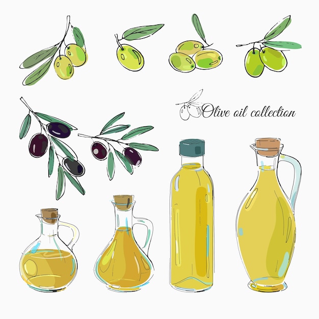 Set of black and green olives and bottles of olive oil, freehand vector illustration