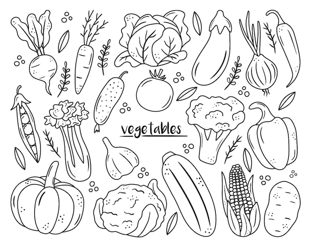 Set of black outline vegetable icons Hand drawn drawings of carrot cabbage broccoli corn pumpkin