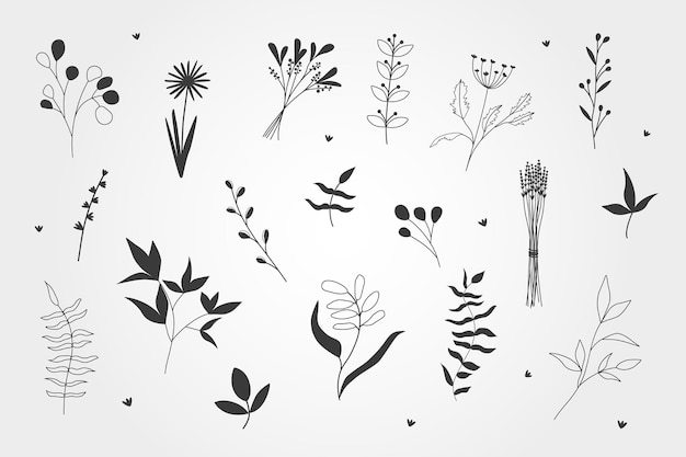 Set of black silhouettes of herbs and leaves Hand drawn vector illustration of floral elements