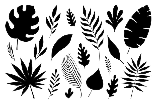 Vector set of black silhouettes of tropical leaves palms and trees