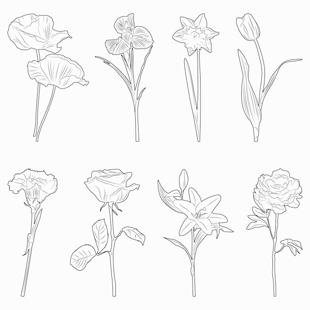 Set of black sketches of isolated flowers on white background. Decorative elements for design.