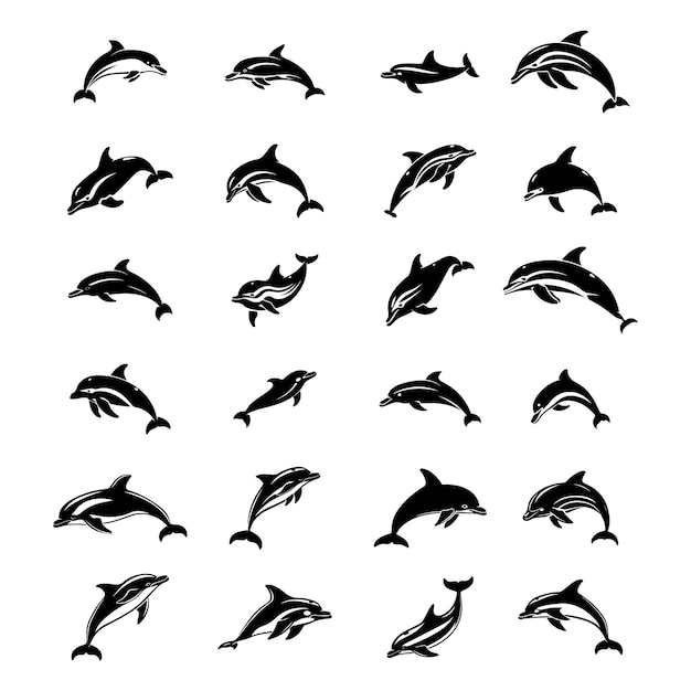 A set of black and white dolphin fish