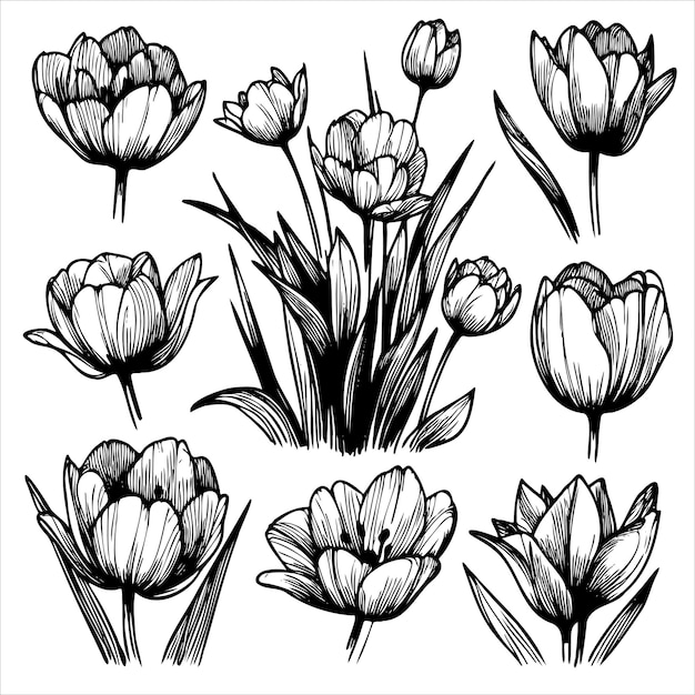 set of black and white flowers with a variety of shapes and sizes