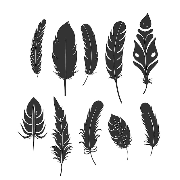 A set of black and white hand-drawn feather illustrations designed on a white background.