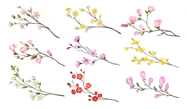 Set of blooming branches of fruit trees. Twigs with flowers and green leaves. Nature theme. Detailed   icons