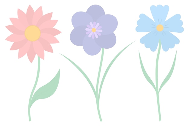 Set of blooming flowers with colorful petals in flat style