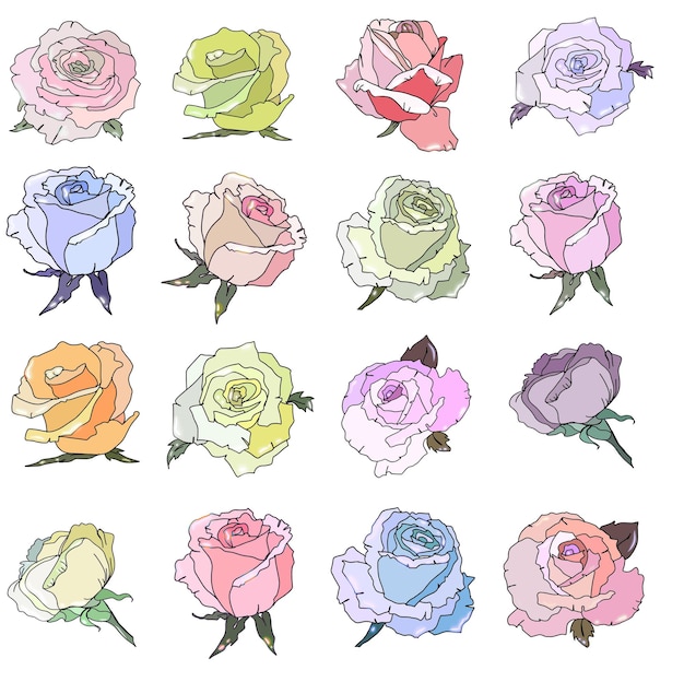 Set of blooming rose flowers vector illustration