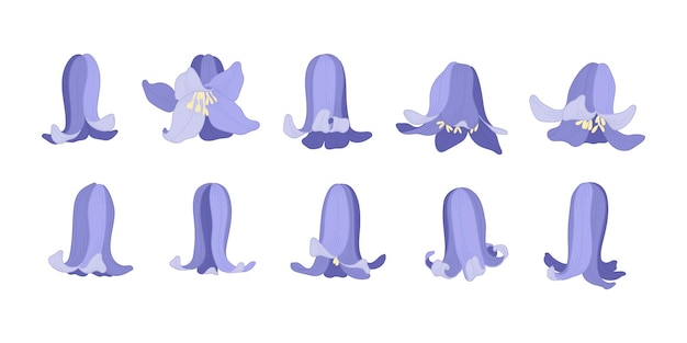 Set of bluebell blooming flowers illustration