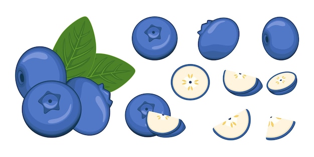 Set of Blueberry fruit berry vector illustration in cartoon style Healthy nutrition organic food vegetarian product