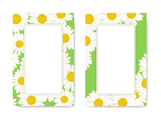 Set of botanical cards with Chamomile Templates for greeting cards brochures flyers labels