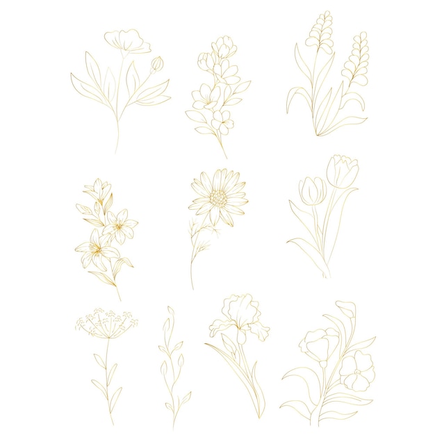 Set of botanical Elegant floral line art