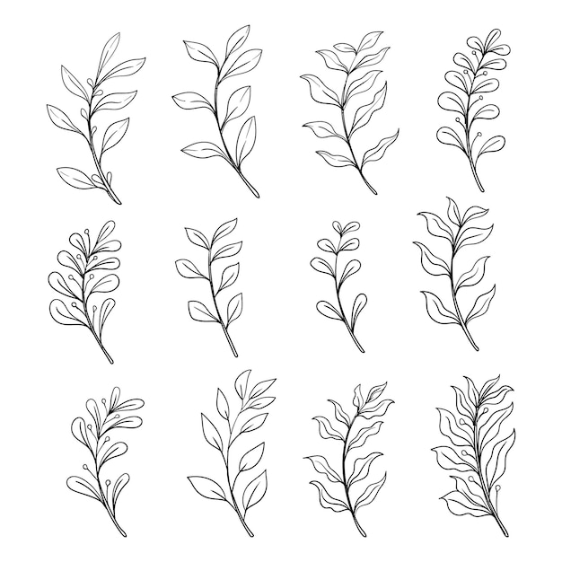 set of botanical leaf doodle wildflower line art