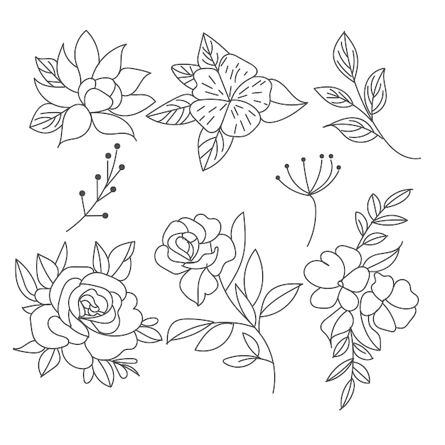 Set of botanical leaf doodle wildflower line art