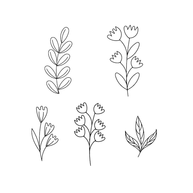 Set of botanical leaf doodle wildflower line art