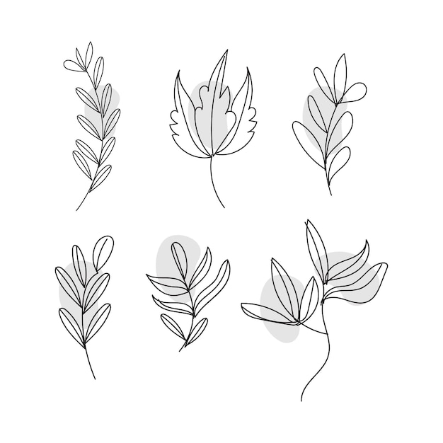 Set of botanical leaf doodle wildflower line art