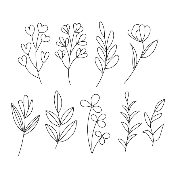 Set of botanical leaf and floral abstract doodle single line art