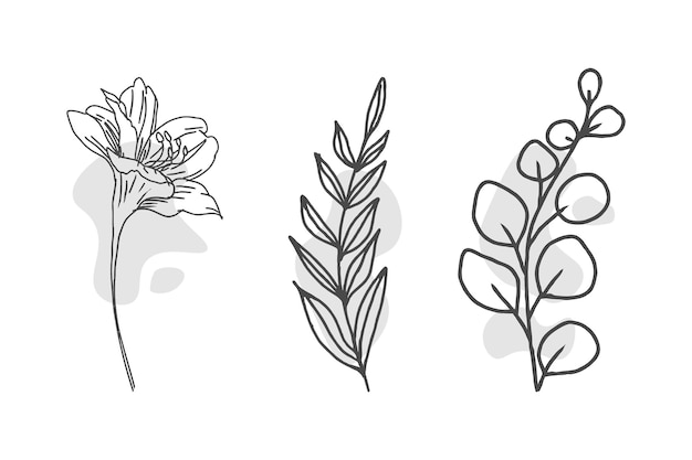 Set of botanical leaf and flower doodle line art illustration