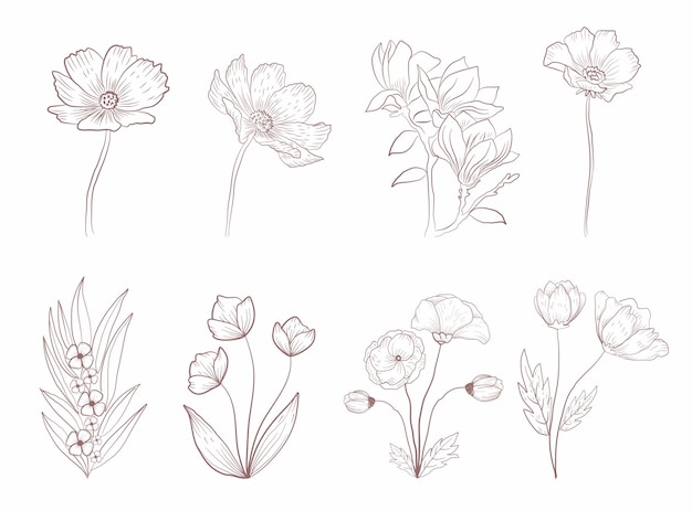 Set of botanical leaf wildflower line art