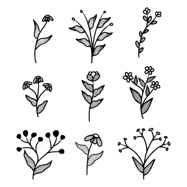 set of botanical leaves doodle flower line art