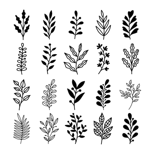 Set of branch and leaves vector