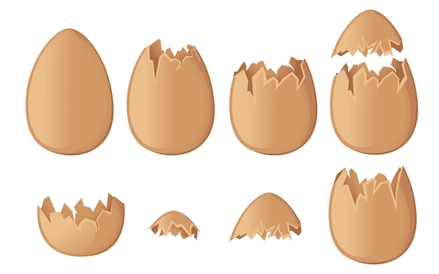 Vector set of brown egg shells whole and cracked or broken shells flat vector illustration isolated on white background