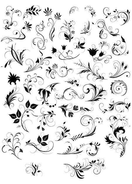 A set of brushes in the shape of leaves and flowers Vector illustration Sketch