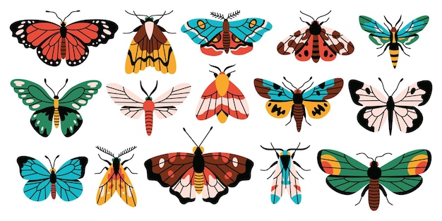 Set of butterflies and moths on white background Trendy colorful flat design Vector illustration