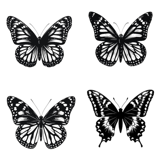 Set of butterflies vector silhouettes for logo clipart design concept isolated on a white