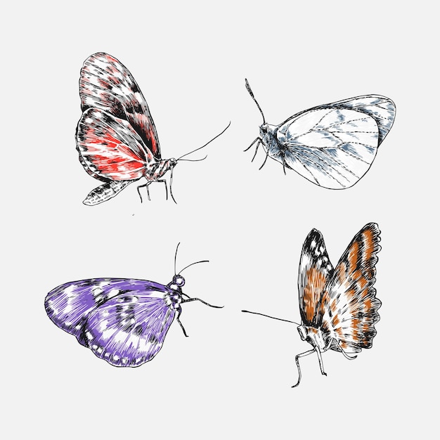 Set of butterflies with engraving drawing style isolated background vector illustration